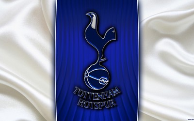 天行体育热评-伊布评价瑞典队未来前景