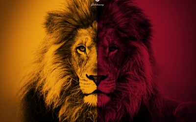 天行体育动态-伊拉克这状态能冲进世界杯吗