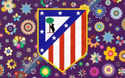 天行体育热评-伊朗篮球联赛爆发斗殴球员禁赛